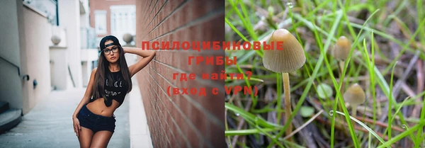 каннабис Алзамай