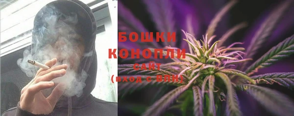 PSILOCYBIN Алексеевка