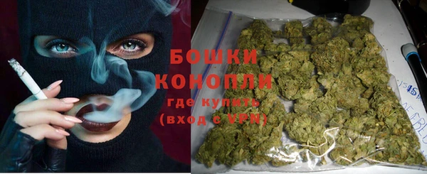 PSILOCYBIN Алексеевка