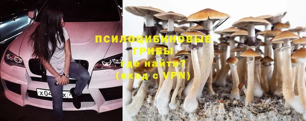каннабис Алзамай