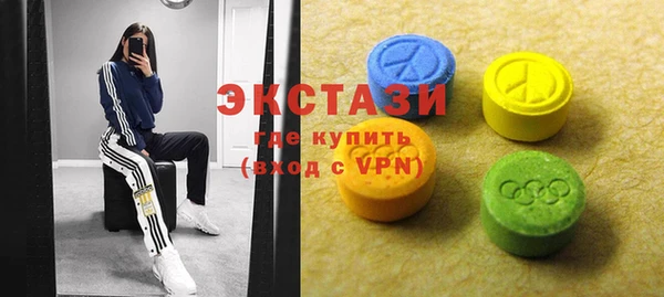 индика Коряжма
